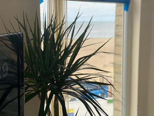 Redcar Seaview Apartments Redcar Seaview Apartments