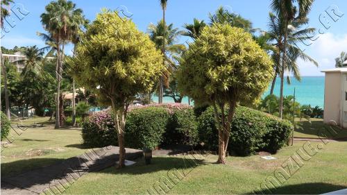 Le Gosier - superbe appartement refait a neuf, bord de mer et vue mer