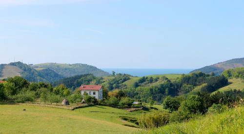 Olaskoaga Goikoa in Aia