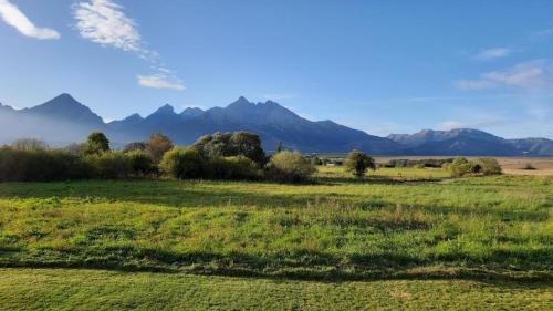 景觀, dovolenkový dom TATRAVILL (dovolenkovy dom TATRAVILL) in 斯塔拉列斯納