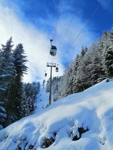 Studio au coeur de la Station de Ski - Apartment - Saint-Aventin