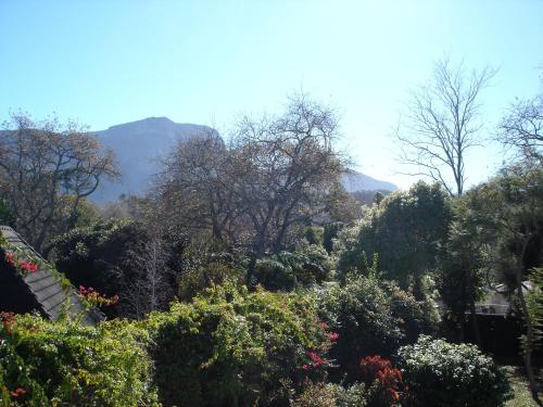 Foto - Little House Villa