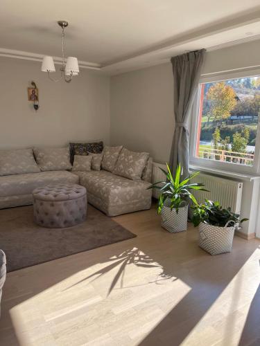 Apartman Vera