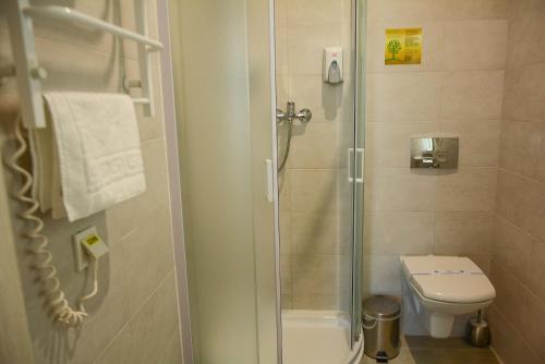 Hotel Voskresensky - image 11