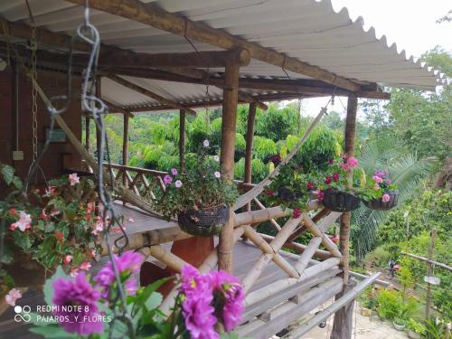 Alojamiento rural pájaros y flores