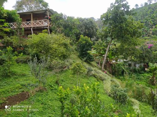 Alojamiento rural pájaros y flores