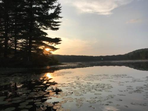 Hush Lodge and Cottages photo