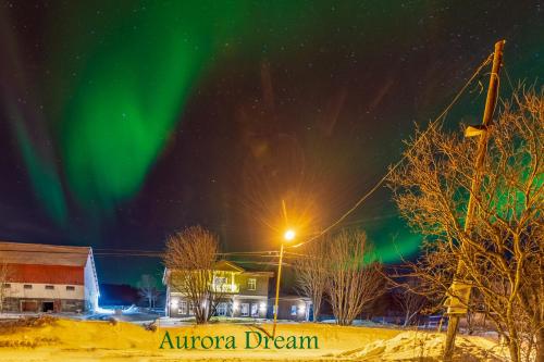 Aurora Dream - Apartment - Svensby