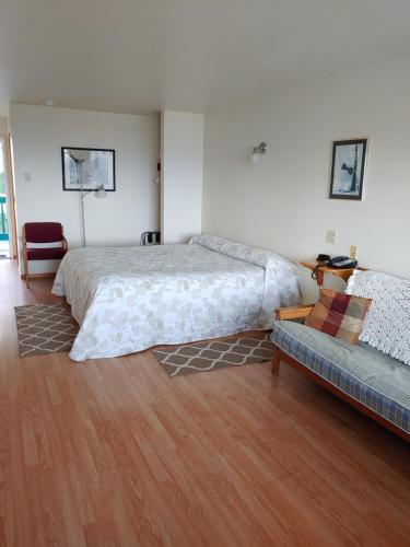 The Dublin House Motel - image 5