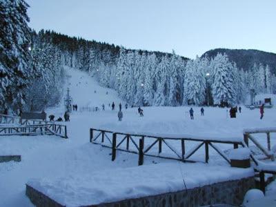 Studios-Villa Park SV in Бороветс