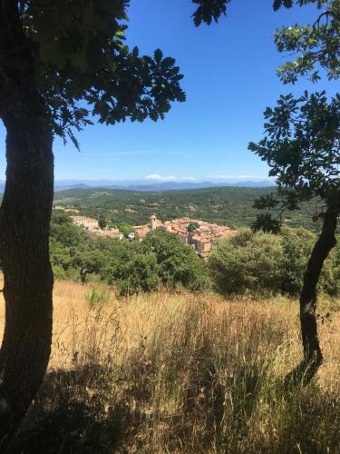 Clos des Vignes Pampelonne Vineyard - image 8