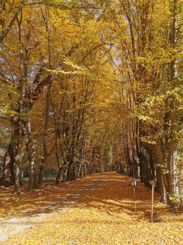 Zabola Estate - Transylvania