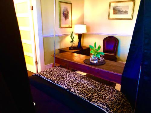 Fabulous Suite at Mansion Perfect for Artist - image 3