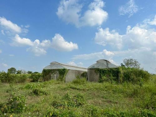 Tungdindum Farm Stay