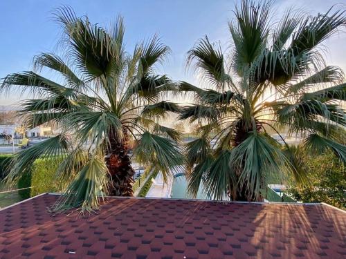 Palmera Villa Sapanca