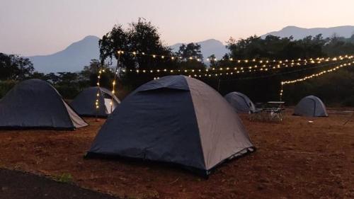 The Valley Go-karting & Camping