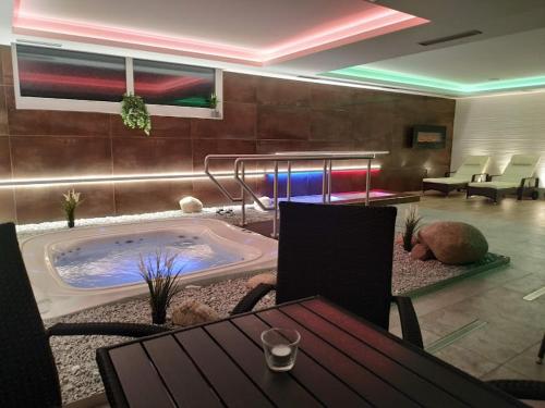 Spa, Wellness Hotel Anna Nejdek in 內代克
