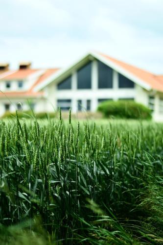 Katrinebergs Folkhögskola B&B - Sjöbol