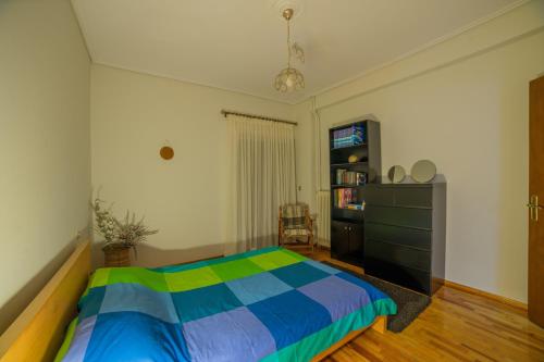 Trikala Down Town Apartment