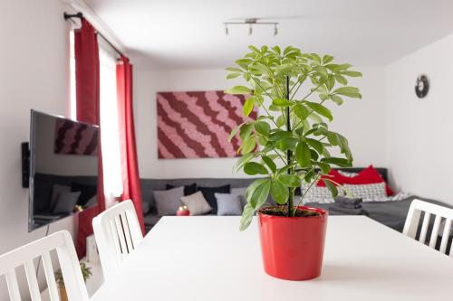NEW ShalalaLiving Vienna - Lovenest or Workspace near Schönbrunn BG, Vídeň (fotografie 2)