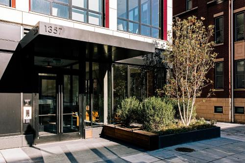  Liz by Black Swan - DC Executive Flat - Main