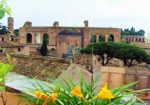 Colosseum Colosseo - image 10