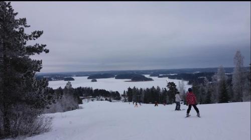 Villa Avara Ellivuori Finland