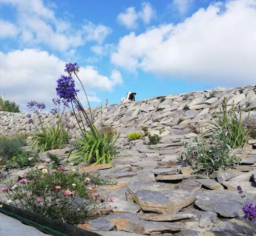 Muckruss Lodge Clonakilty An Oasis of Tranquility