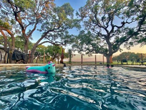 Pond House Bungalow @ Bergheim Ranch in Bergheim, USA