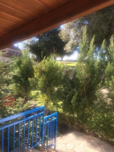 Ionas House in 만테이오