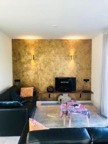 Közös társalgó / TV, Strand Villa Stern Noordwijk in Verspreide huizen Langeveld