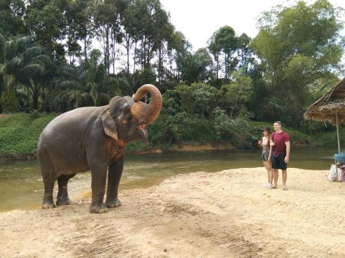 Khao Sok River & Jungle Resort