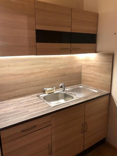 virtuve, Apartmány Diana (Apartmany Diana) in Lužice