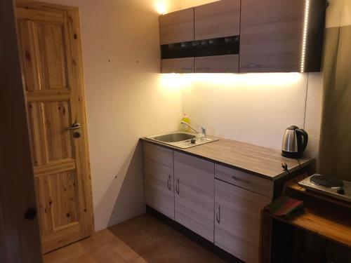 virtuve, Apartmány Diana (Apartmany Diana) in Lužice