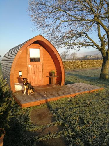 Sunny Mount Glamping Pod in Long Marton