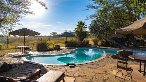 مسبح, The Shed in Nakuru