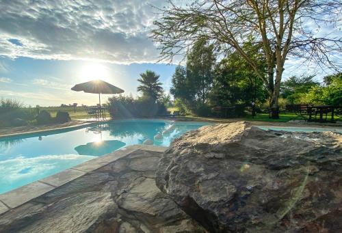 مسبح, The Shed in Nakuru