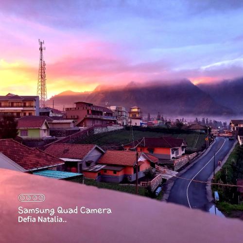 Bromo Deddy Homestay in Bromo
