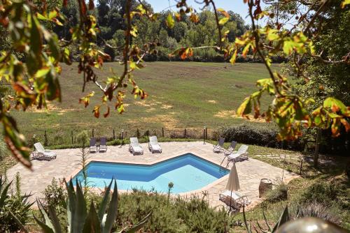 Book the Apartment Apartment