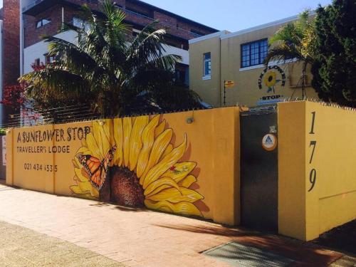 Foto - A Sunflower Stop Backpackers