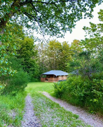 Tolne Camping