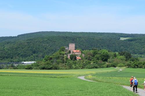 Gasthaus & Hotel Drei Lilien