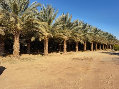 المنزل الريفي