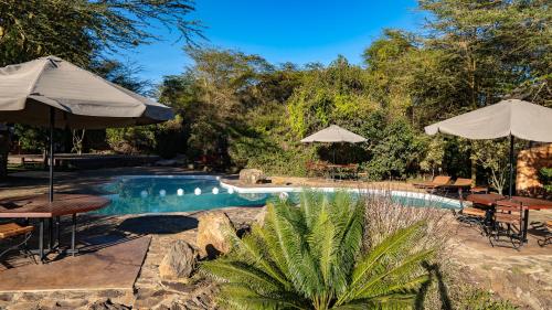Swimming pool, Black Wattle House in Nakuru