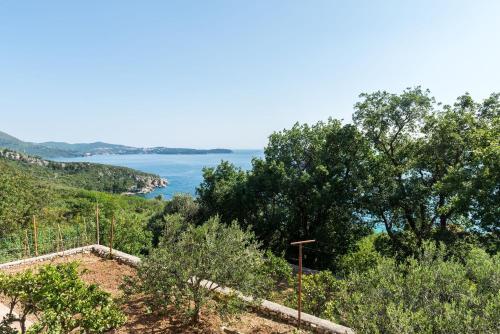 Villa Barbara - Chambre d'hôtes - Mlini