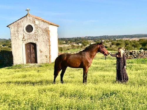 Zambujal Horses & Nature. House t1. Alentejo. Arronches.