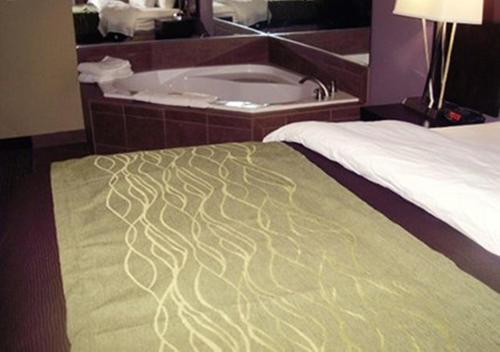 Comfort Inn & Suites Dothan East photo 4
