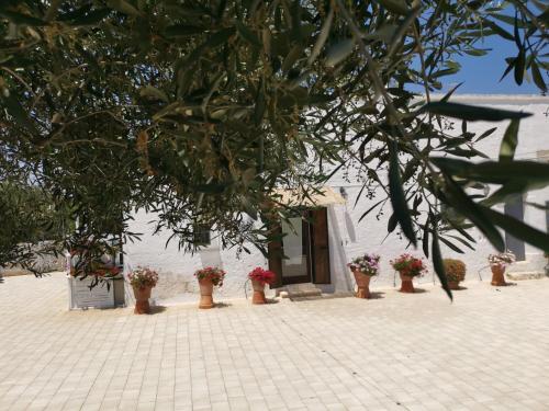 Profumo Di Terra, Monopoli