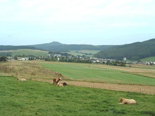 Fliederhof Ferienwohnungen