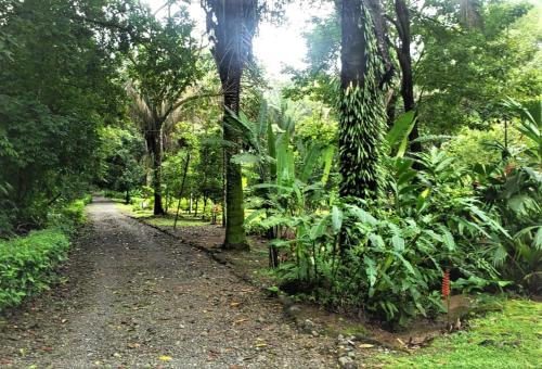 Finca la Bonita, Playa Carate